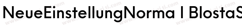 NeueEinstellungNorma l BlostaScript字体转换